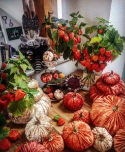 Samtkürbisse in warmen Herbstfarben als gemütliche Herbstdeko 